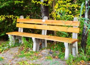 Park Bench made of pine and concrete