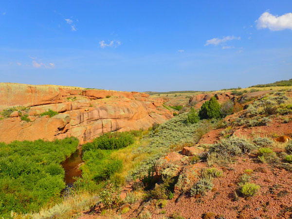 Learn how to decide on land by reading this blog post. We walk you through tips for picking out land for your tiny home. 