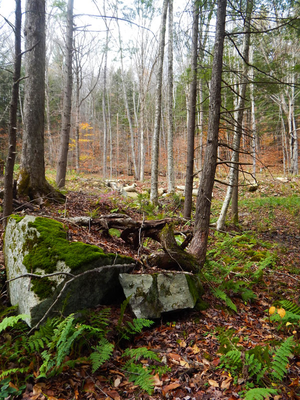 This land didn't come with utilities, so the person who purchased it will need to fit those into their budget, or live off-grid. 