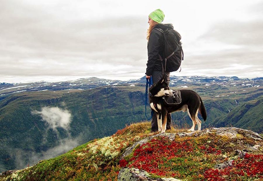 Gifts for hotsell hikers with dogs