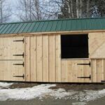 10x20 Two Stall Barn with one dutch door open