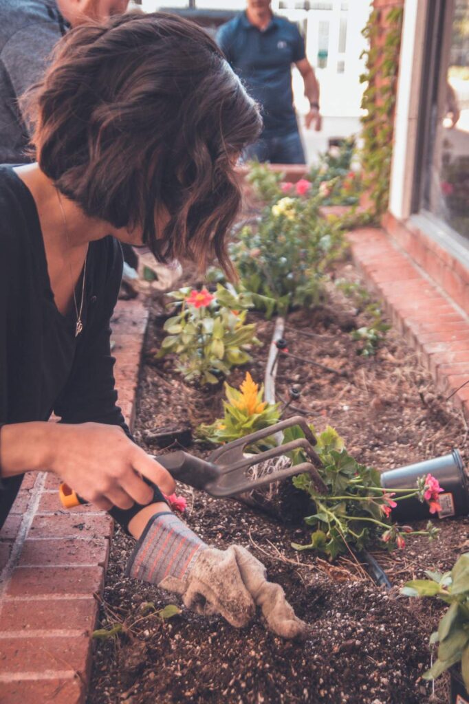 Woman backyard landscaping and gardening flowers