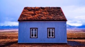 Alternative and Eco-Conscious Roofing Types
