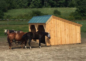 12x20 Run In for Horses