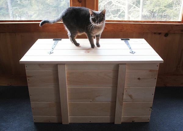 2x3 Ready to Assemble Pellet Box with cat