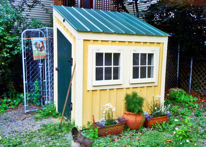 Build a tiny house for your chickens with our 4x6 Chicken Coop pre-cut kit.