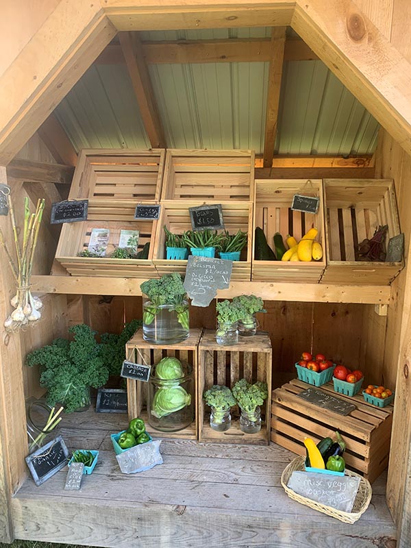If you are in need of a rustic farm stand for selling fruits and veggies our post and beam Weekender storage shed.