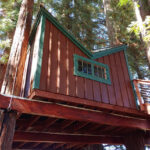Fun treehouse design painted brown with green trim