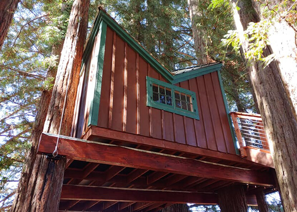 Fun treehouse design painted brown with green trim