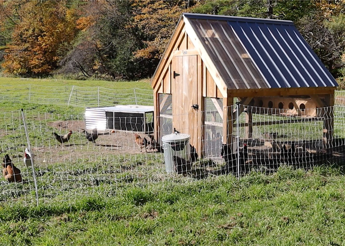 The Jamaica Cottage Shop 8x8 Chicken Coop is classic made in Vermont carpentry
