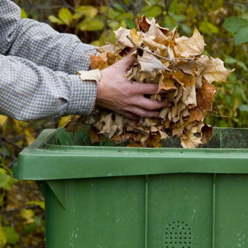 Tidying up leaf litter to turn into a mulch is a good idea for spring cleaning