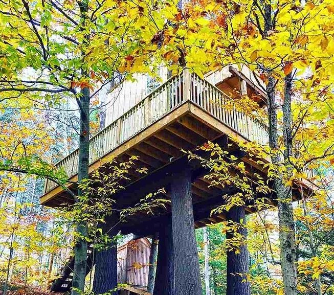 This treehouse has a wrap-around deck and is supported by multiple trees