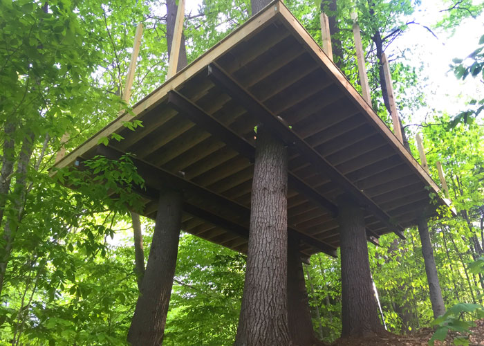 How to Build a Treehouse • Jamaica Cottage Shop