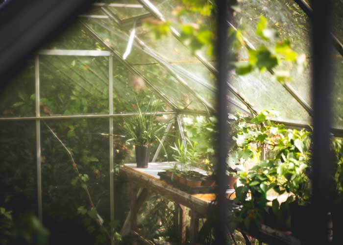 Glass greenhouse enclosure interior